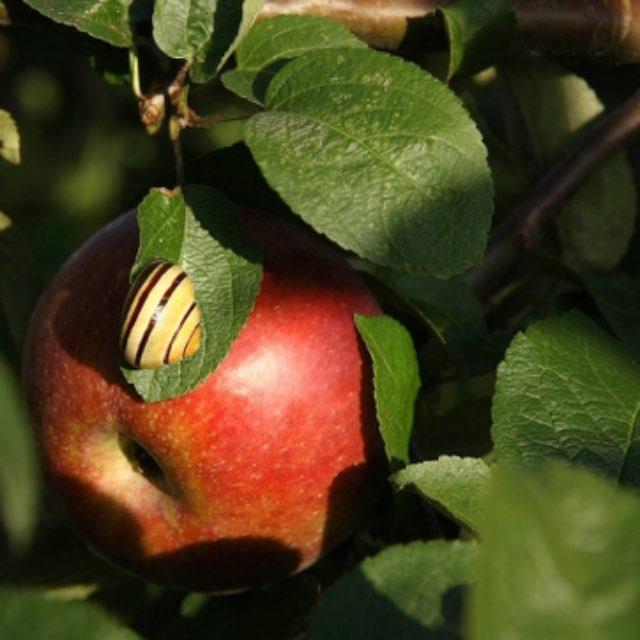 人类真的想象不出从来没见过的东西吗?-软件乐园