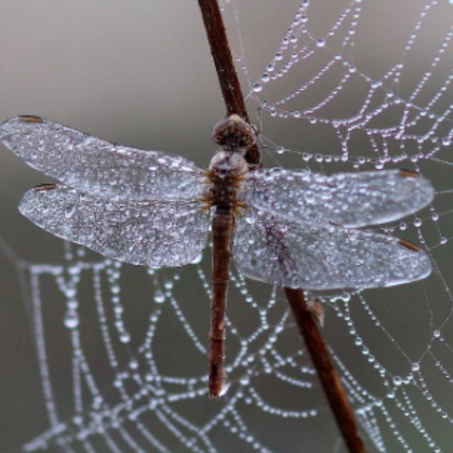 小事 · 有什么事是你过了很多年突然明白的？-软件乐园