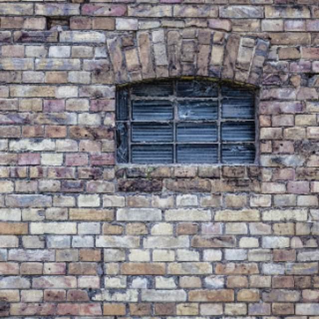 用头撞墙真的能撞出血吗?-软件乐园