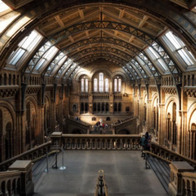 各地博物馆的镇馆之宝有哪些?-软件乐园