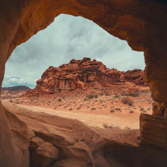 历史上有哪些著名的打脸的话?-软件乐园