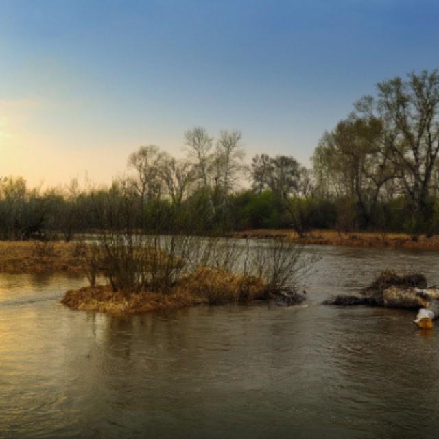 有证据证明确实存在大禹治水这件事吗？或者证明当时黄河上确实进行了大规模的水利工程？-软件乐园