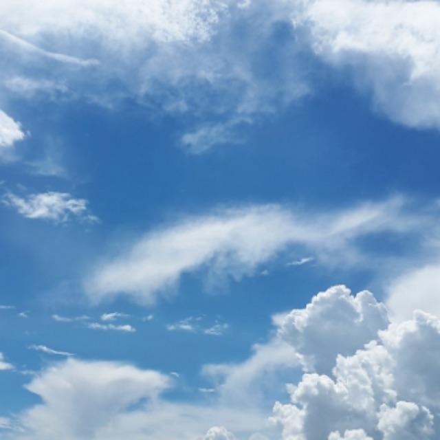 氮气占空气含量 78%,但为什么生物进化到今天是呼吸氧气而不是氮气?-软件乐园