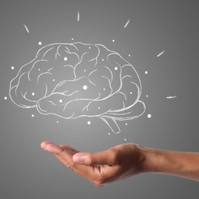 大脑能耗很高,为什么没有多动脑子的减肥方法?-软件乐园