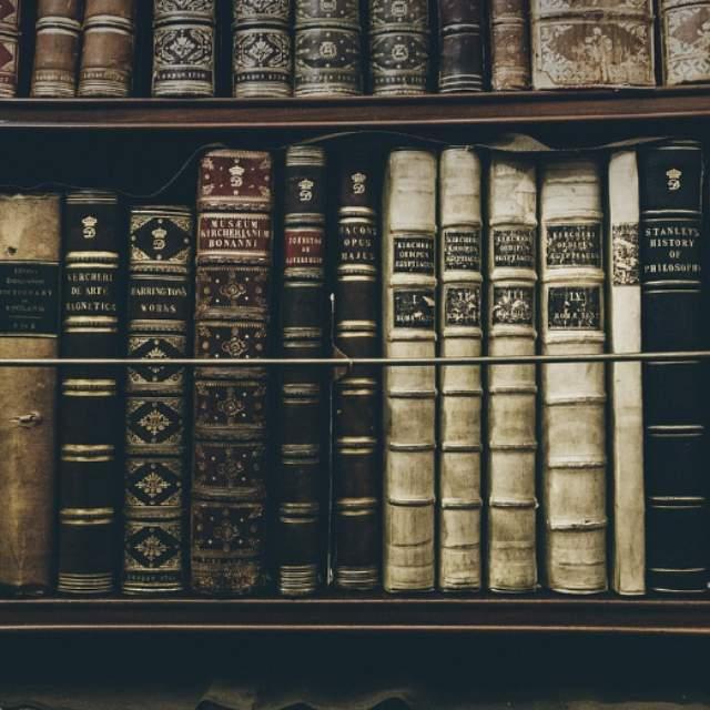 谁该为五十万马克的面包负责?-软件乐园