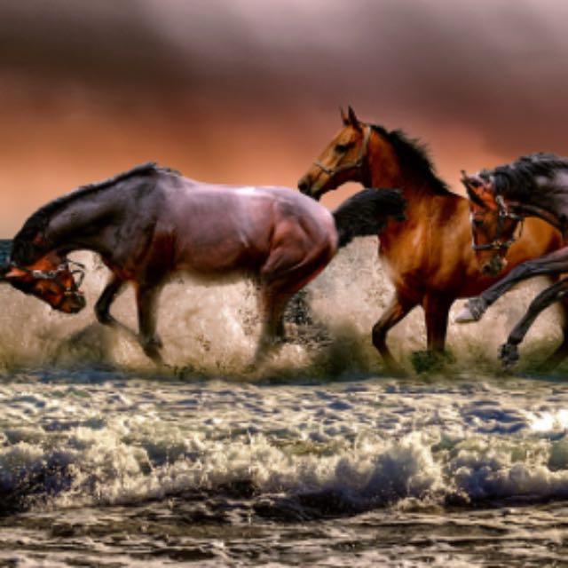 为什么战国时其他国家不学习赵国胡服骑射,或者至少建立一支新式骑兵?-软件乐园