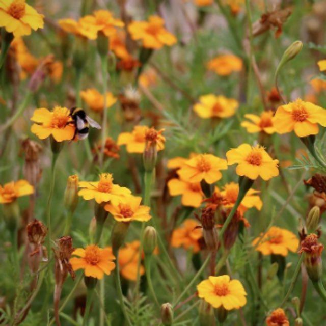 小事 · 哪件事让你改变了人生观？-软件乐园