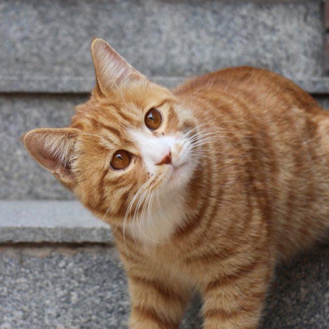 瞎扯 · 如何正确地吐槽-软件乐园