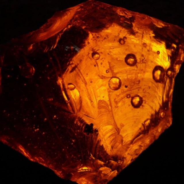 琥珀里的昆虫万年不腐,古人为何不用琥珀来给尸体做防腐?-软件乐园