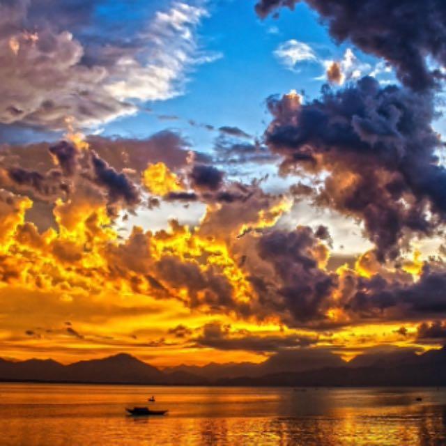 小事 · 你有哪些和大型动物接触的经历?-软件乐园