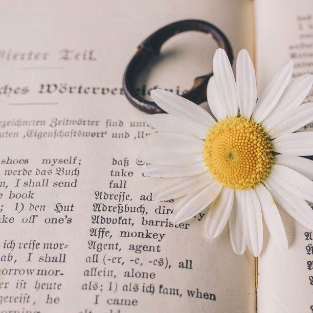 为何「John」要译成「约翰」而不是「卓恩」?-软件乐园