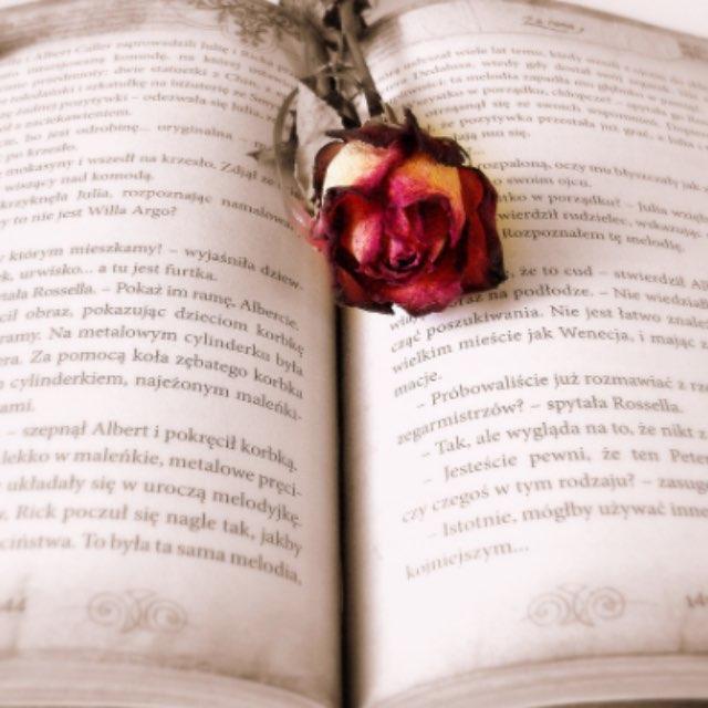 为什么小说在文学中的地位这么高?为什么很多时候谈起世界文学名著的时候想到的大多都是小说?-软件乐园