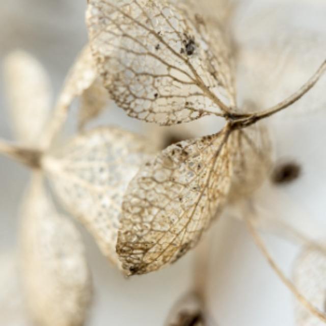 瞎扯 · 如何正确地吐槽-软件乐园