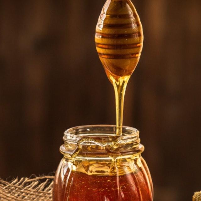 蜜蜂为什么会心甘情愿地在人造的蜂箱中筑巢?-软件乐园