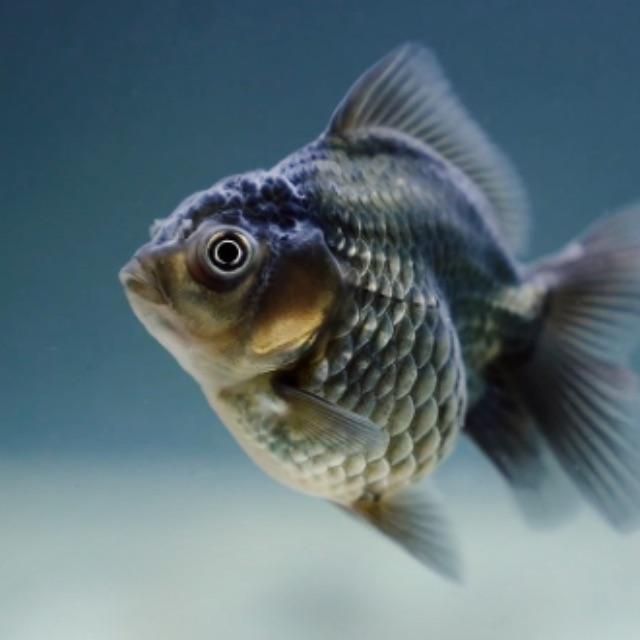 小事 · 你都见过哪些不动声色的善良?-软件乐园