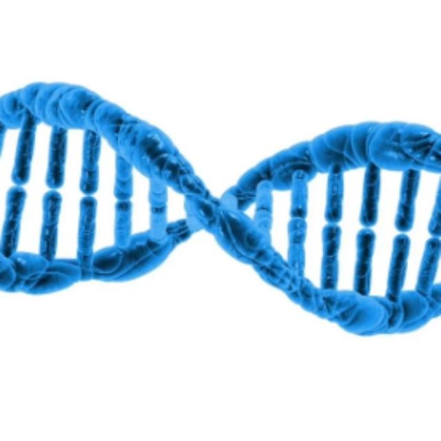 化学键断裂要耗能,为什么生物教材上写 ATP 高能磷酸键断裂会释放大量能量?-软件乐园