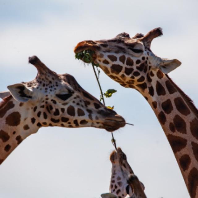 有哪些事情听起来危险但实际上很安全?-软件乐园