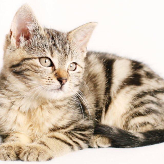 瞎扯 · 如何正确地吐槽-软件乐园