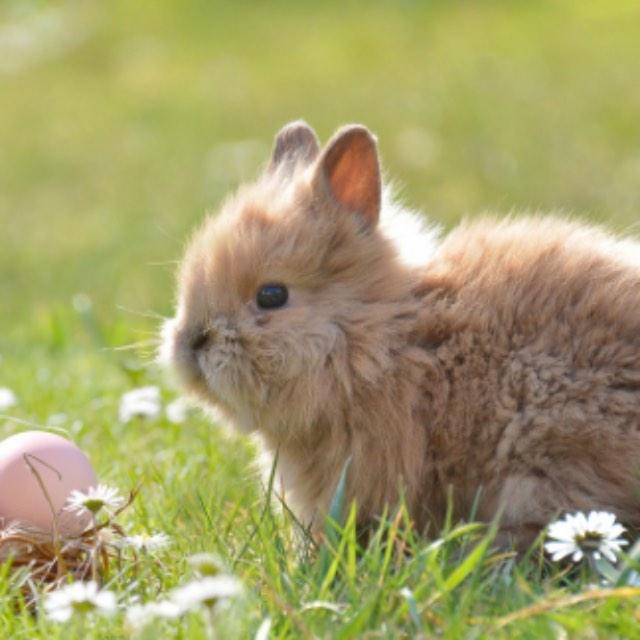 瞎扯 · 如何正确地吐槽-软件乐园