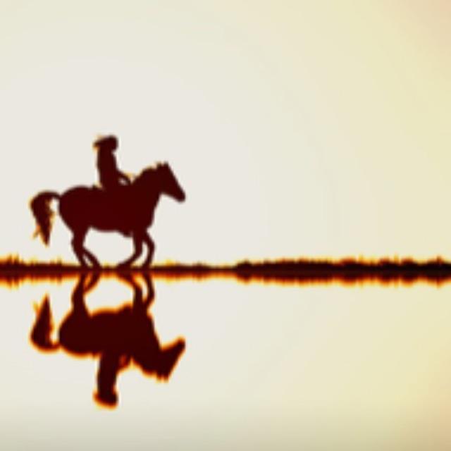 为什么孙权年少万兜鍪，长大反而那么拉胯？-软件乐园