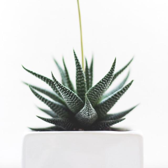 活不下去了,能送我一句话吗?-软件乐园