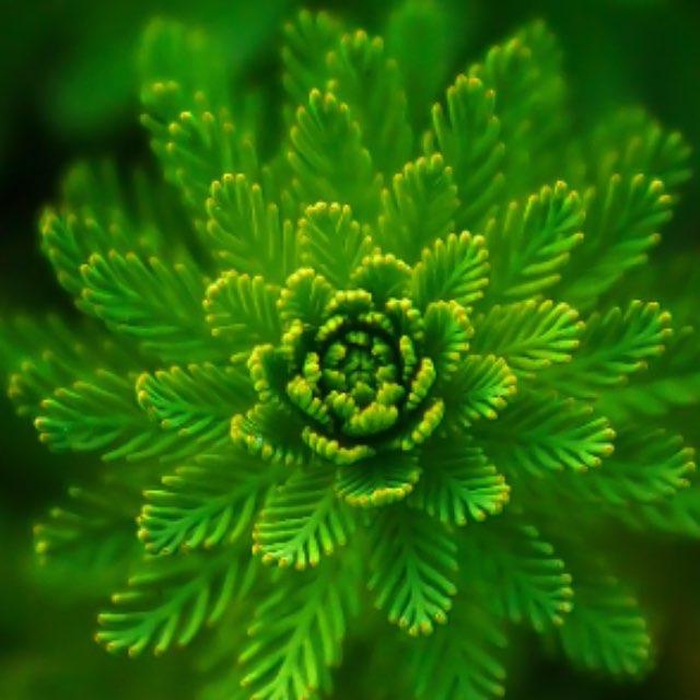 为什么魏忠贤在明朝一手遮天,却斗不过一个刚刚继位年仅 17 岁的崇祯?-软件乐园