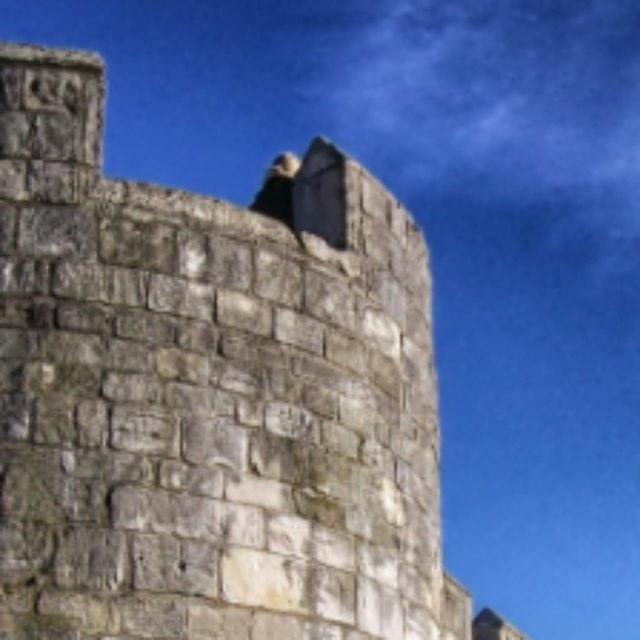 假如秦国没有统一六国而是六国中的其他国家统一的,那么会继续沿用分封制还是会使用郡县制?-软件乐园