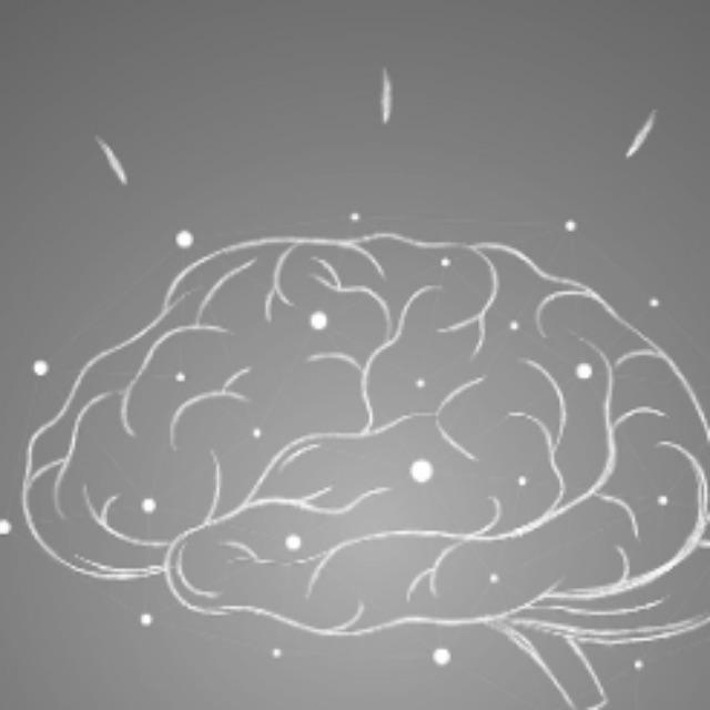 人的大脑相当于什么水平的 GPU 和 CPU ?-软件乐园