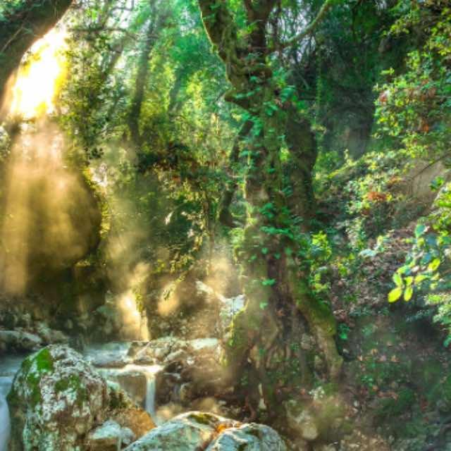 如果我穿越到各个史前时代,都有哪些必备的生存指南?-软件乐园