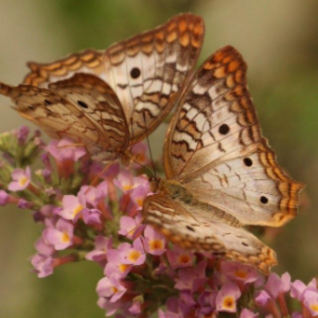 瞎扯 · 如何正确地吐槽-软件乐园