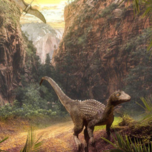 为什么大众仍然不接受鸟类源于恐龙?-软件乐园