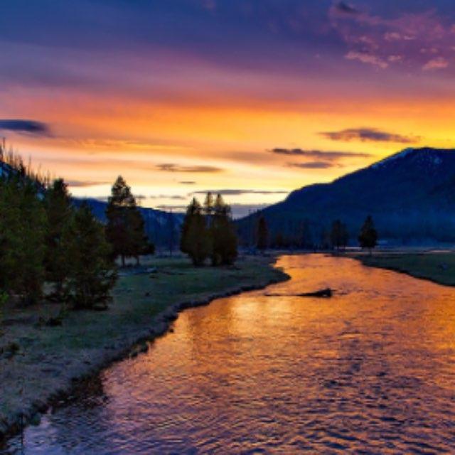 卫星地图上,江苏东台以东近海类似河口沙洲绿色地块是什么?是的话是哪条河冲出来的,泥沙量这么大?-软件乐园