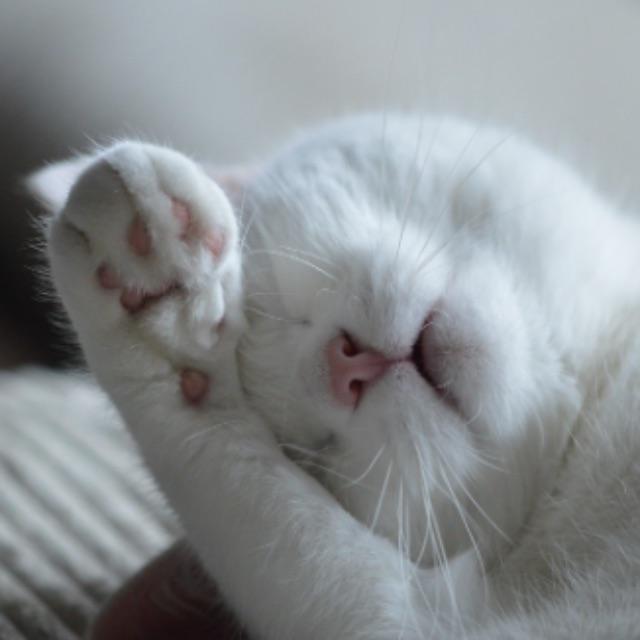 瞎扯 · 如何正确地吐槽-软件乐园