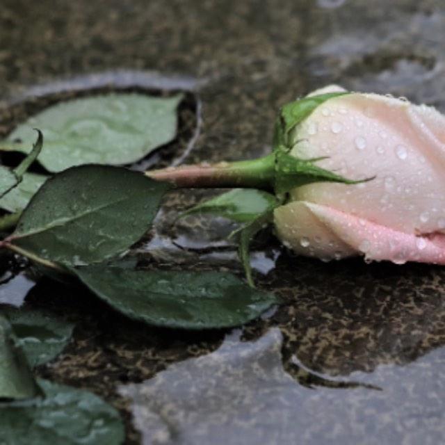 瞎扯 · 如何正确地吐槽-软件乐园