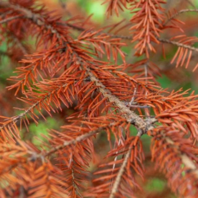 小事 · 你在大学经历哪些后悔的事?-软件乐园