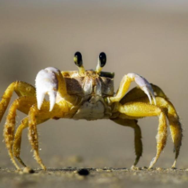 小事 · 有哪些让你心酸的故事?-软件乐园