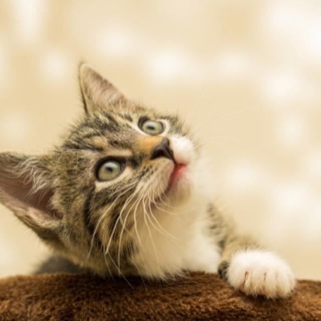 瞎扯 · 如何正确地吐槽-软件乐园