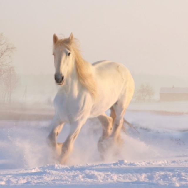 花木兰是否真实存在?-软件乐园