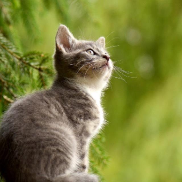 瞎扯 · 如何正确地吐槽-软件乐园