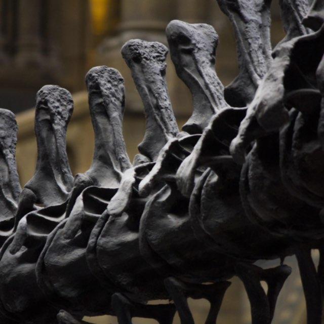 在商朝活人祭祀甚至王族食人真的是一种常态吗?-软件乐园