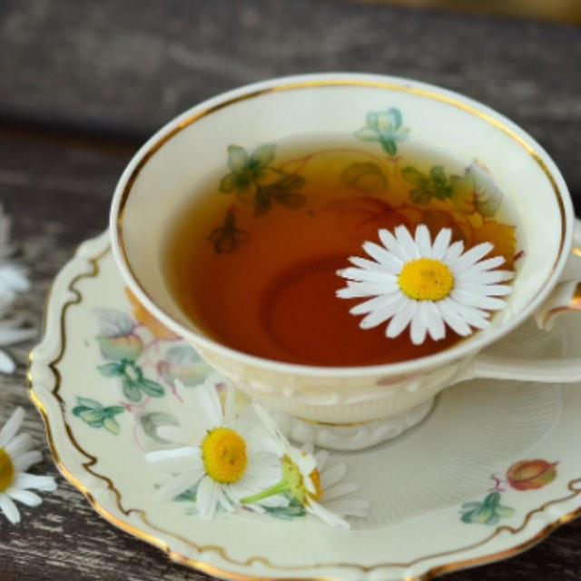 能介绍下茶叶吗?白茶、绿茶、黄茶、乌龙茶、红茶、黑茶,各有什么特点?-软件乐园