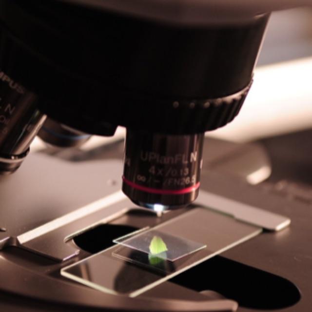 到底什么是氢键?-软件乐园