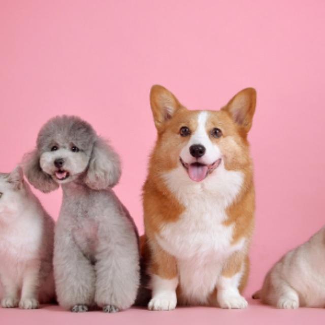 瞎扯 · 如何正确地吐槽-软件乐园