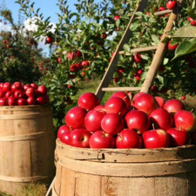 广义相对论到底有没有解释引力是从何而来的?-软件乐园