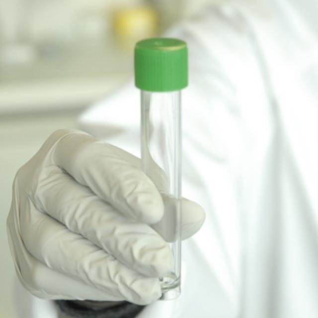 DNA 双链中两条链都能作为转录模板翻译成 RNA 吗?-软件乐园