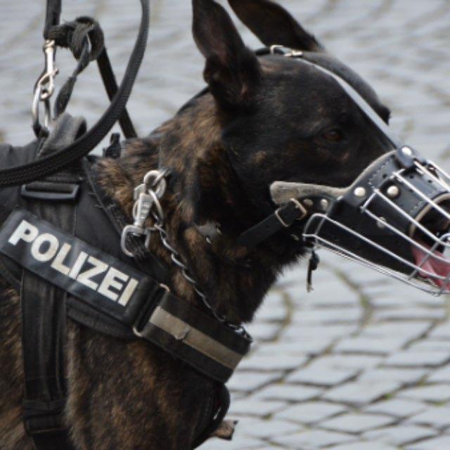 瞎扯 · 如何正确地吐槽-软件乐园