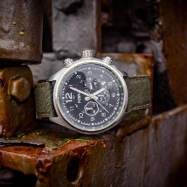 为什么中国的古生物领域研究成果那么多,而普通人知道的却很少?-软件乐园