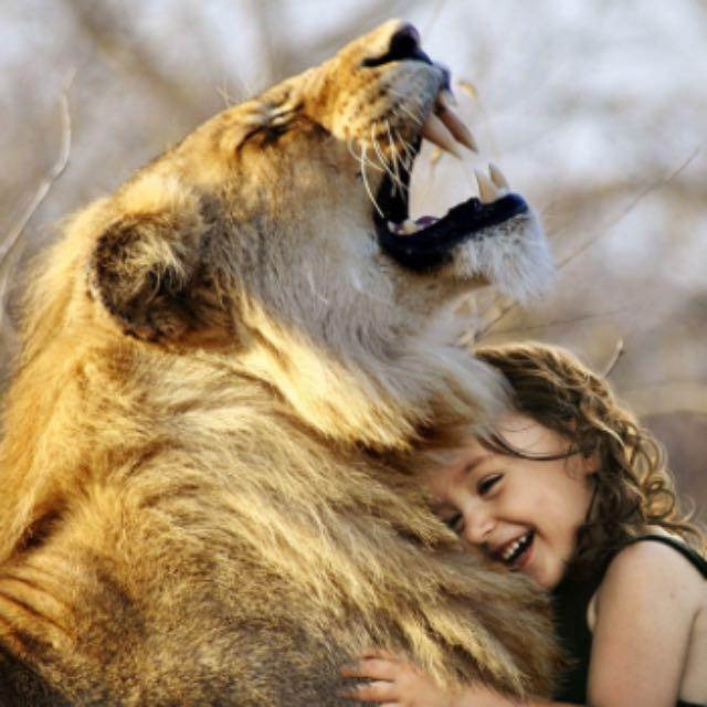 为什么人类没有发展出攻击性的器官?-软件乐园