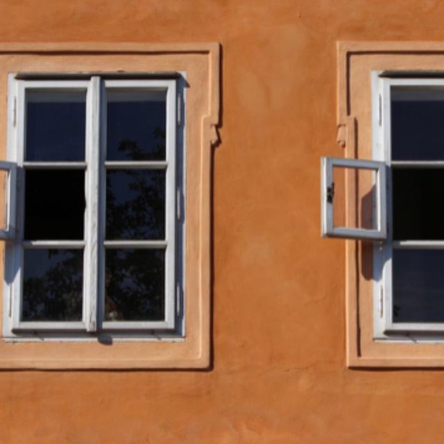 为什么世界上的生物(绝大部分)是对称的?-软件乐园