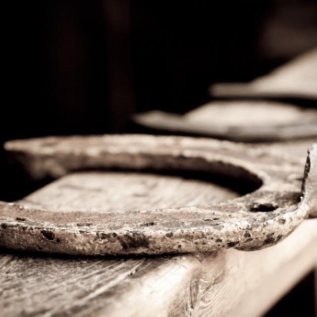 在网上看到刚出生的小马蹄子是这样的,网上没有找到靠谱的资料,是真的么?-软件乐园